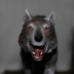 Dracula’s Children of the Night