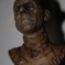 The Mummy Bust (1932)